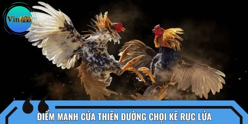 Điểm mạnh cửa thiên đường chọi kê rực lửa