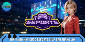Top 5 Mẹo Hay Cược Esports Giúp Bạn Tăng Tỷ Lệ Thắng Đậm Đà